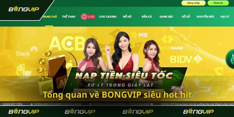 Bongvip - Điểm Giải Trí Trực Tuyến Top Đầu Thị Trường 2025